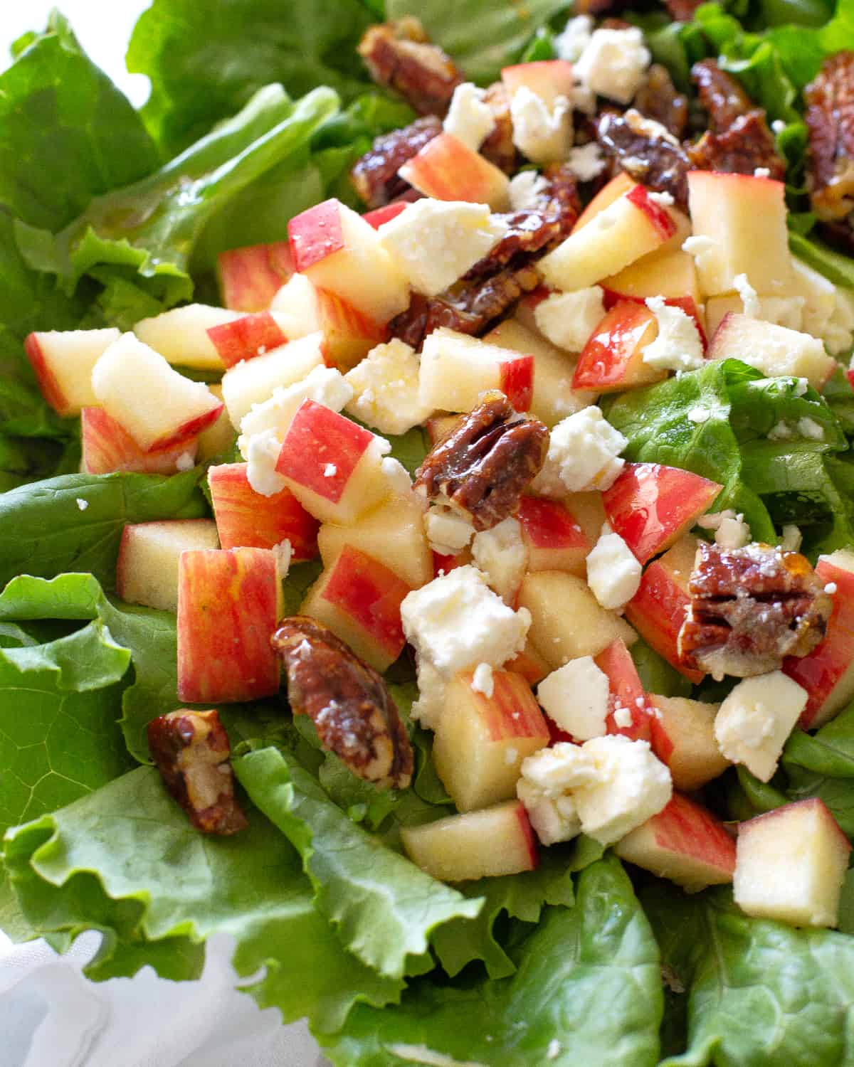 Pecan and Apple Salad é a minha salada preferida para os potlucks.  Nozes cristalizadas, maçãs frescas e queijo tornam esta salada única e cheia de sabor!  #maçã #pecan #salada